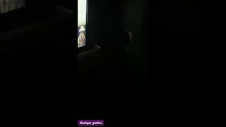 Behind The Scene  Recording El Oum By Sabyan