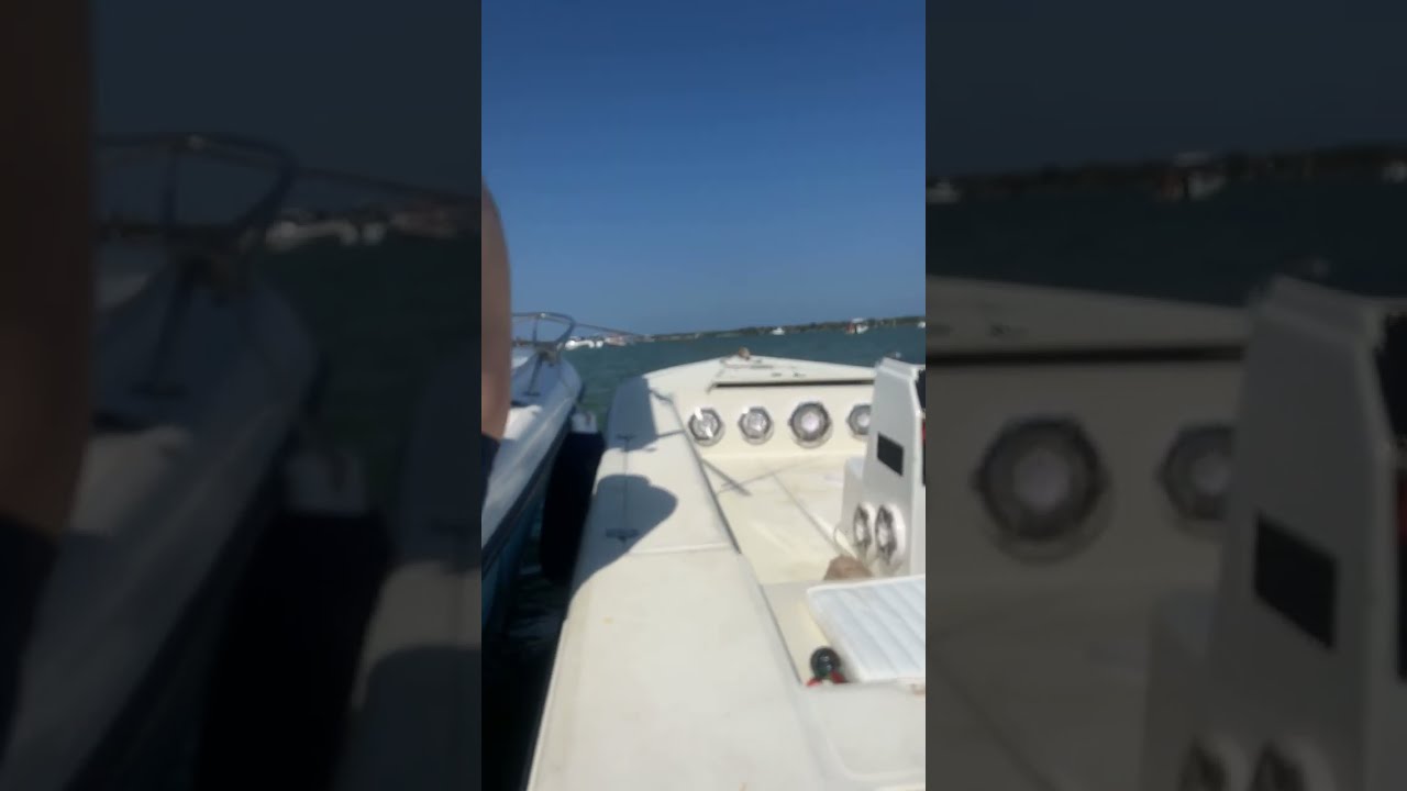 DS18 Marine Speakers 