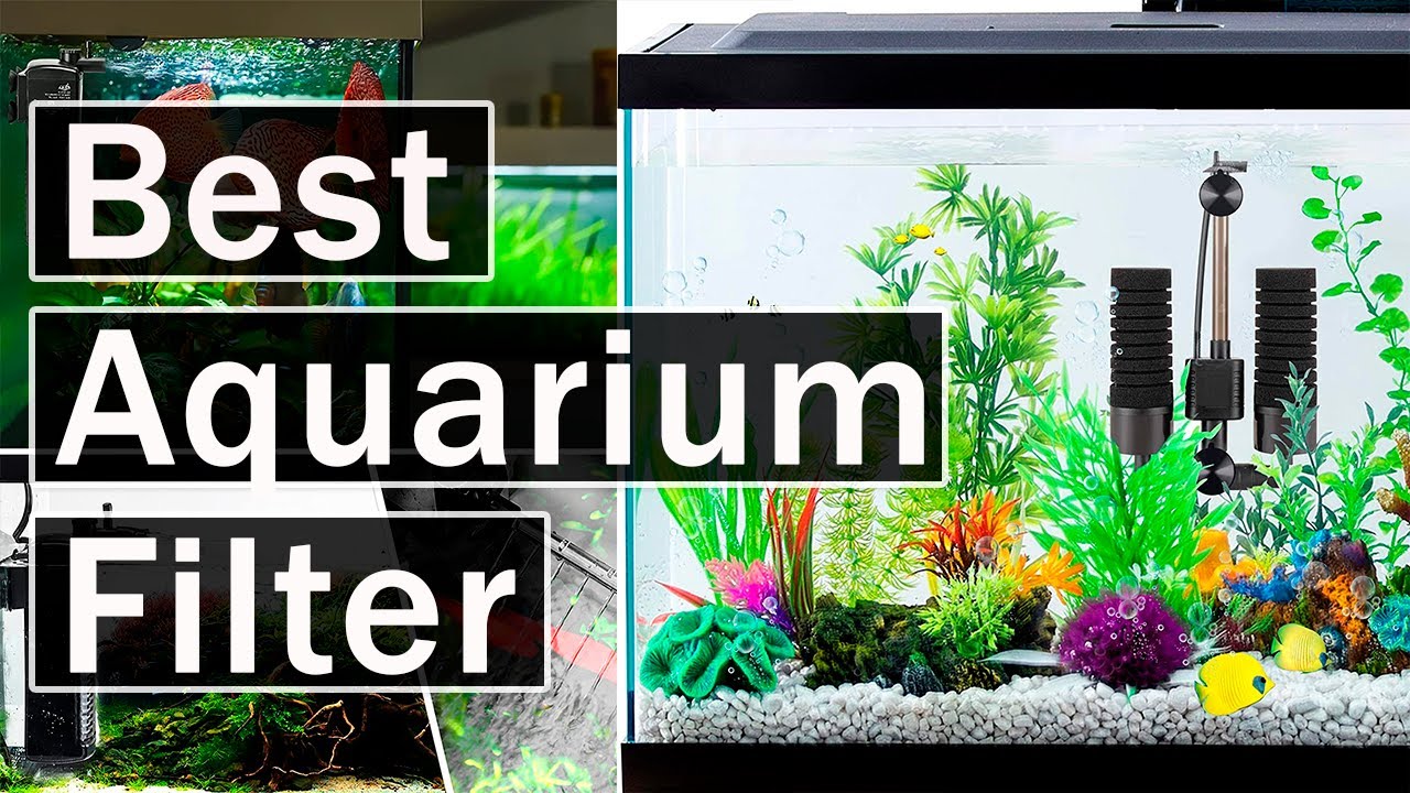 5 Best Aquarium FILTERS in 2022 Amazon YouTube