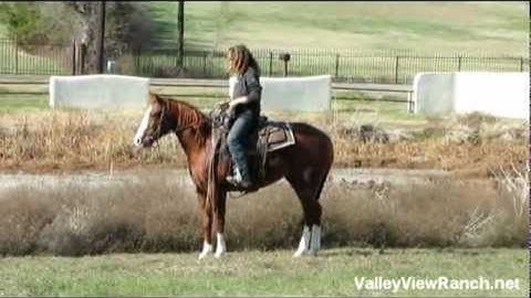 Springdrops     ***For info, price, etc., go to our website***     Valley View Ranch
