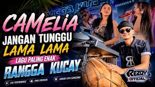 CAMELIA-JANGAN TUNGGU LAMA LAMA‼️RANGGA KUCAY