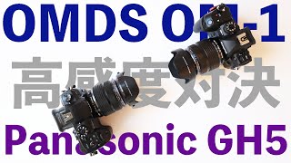 【カメラ】OM System OM-1 VS Panasonic GH5で高感度撮影を試してみました！マイクロフォーサーズの進化を見る！