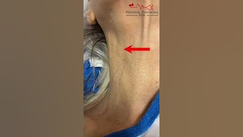 Arterial Pulse Vs. Venous Pulse