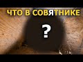 Проверка совятника для серой неясыти. 2021 г.