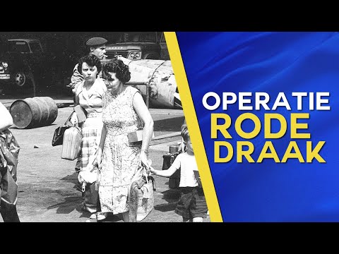 Video: Rode Draak