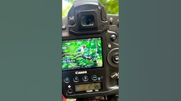 dslr kaise use kare ll dslr camera kaise use kare #shorts