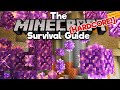 Geodes, or "When NOT To Automate Something" ▫ The Hardcore Survival Guide [Ep.20] ▫ Minecraft 1.17