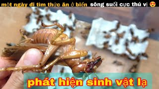 1 Ngày Đi Tìm Thức Ăn Ở Biển Phát Hiện nhiều Sinh vật Lạ || review giải trí đời sống