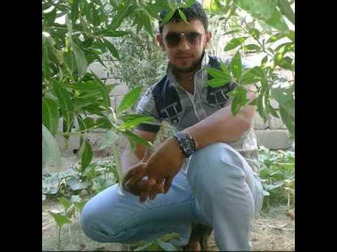 معن العربي احبه وما يحس بيه