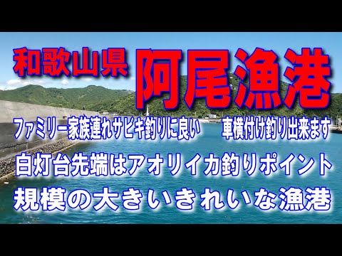 #73和歌山県阿尾漁港白灯台先端はアオリイカ釣りポイントイカ墨跡多数ファミリー家族連れサビキ釣りに良い車横付け釣り出来ますタカベが釣れる漁港規模の大きいきれいな漁港五目で色々な魚が良く釣れる漁港