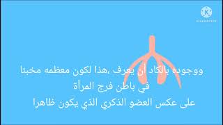 ثقافةالجماع للمتزوجين فقط.كيفية اثارة الزوجة.البظر عند المرأة.نصائح للرجل والمقبلين على الزواجorgasm