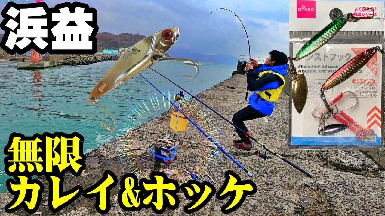 【釣り】北海道石狩浜益漁港・無限カレイ&ホッケ・クロガシラ・マガレイ・投げ釣り・ジグサビキ・２０２２年：[Fishing] Infinite flatfish and atka mackerel