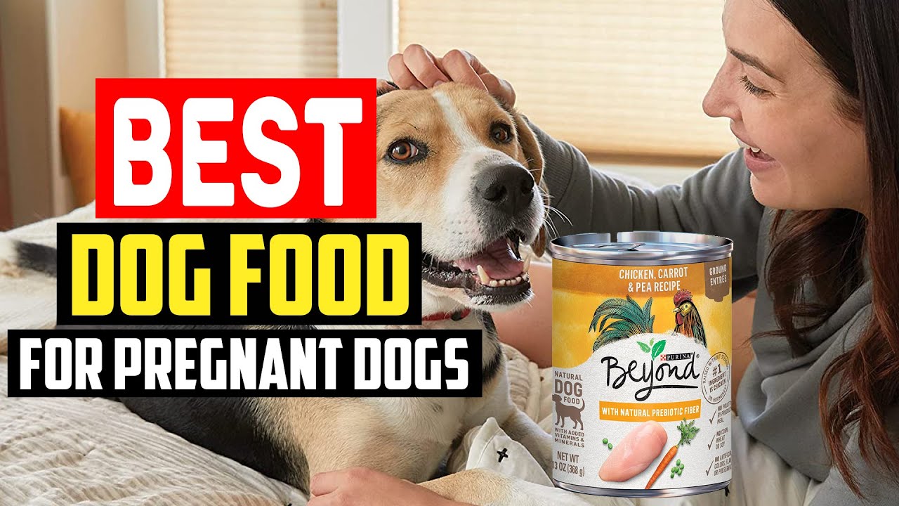 can pregnant dogs eat carrots