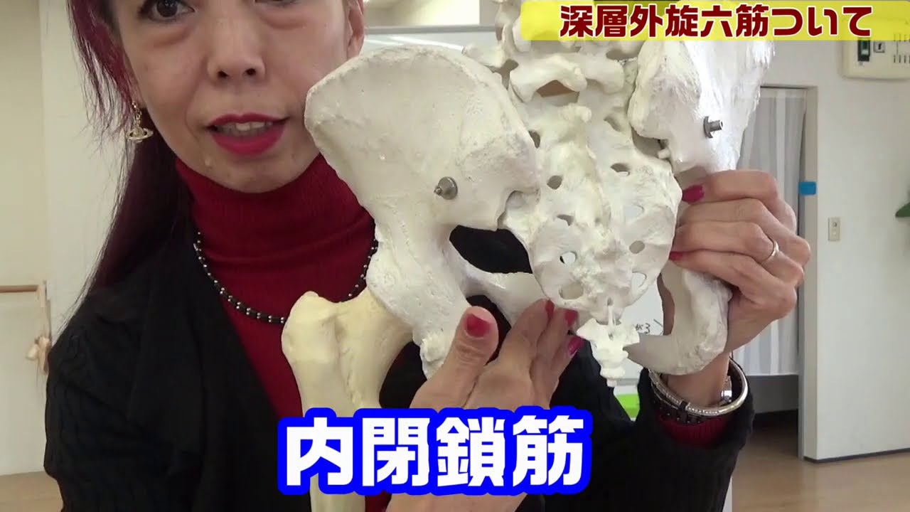 【股関節】股関節の動きを良くする