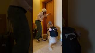 Thumbnail for Heartwarming Reunion at the Door with a Loyal Dog