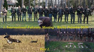 Hare hunting with eagles  1st International Falconry Meeting  Backa Palanka 2019