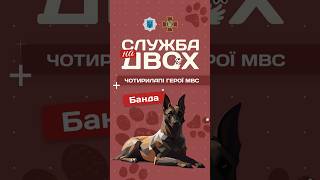 🎖️ Собака-герой України