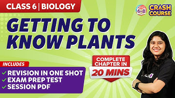 Complete Getting to Know Plants Chapter Under 20 Mins Class 6 Biology | Crash Course | BYJU