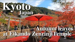 4kkyoto Autumn Leaves Walknanzenji Templeeikando Zenrinji Temple  Kyoto nov302021