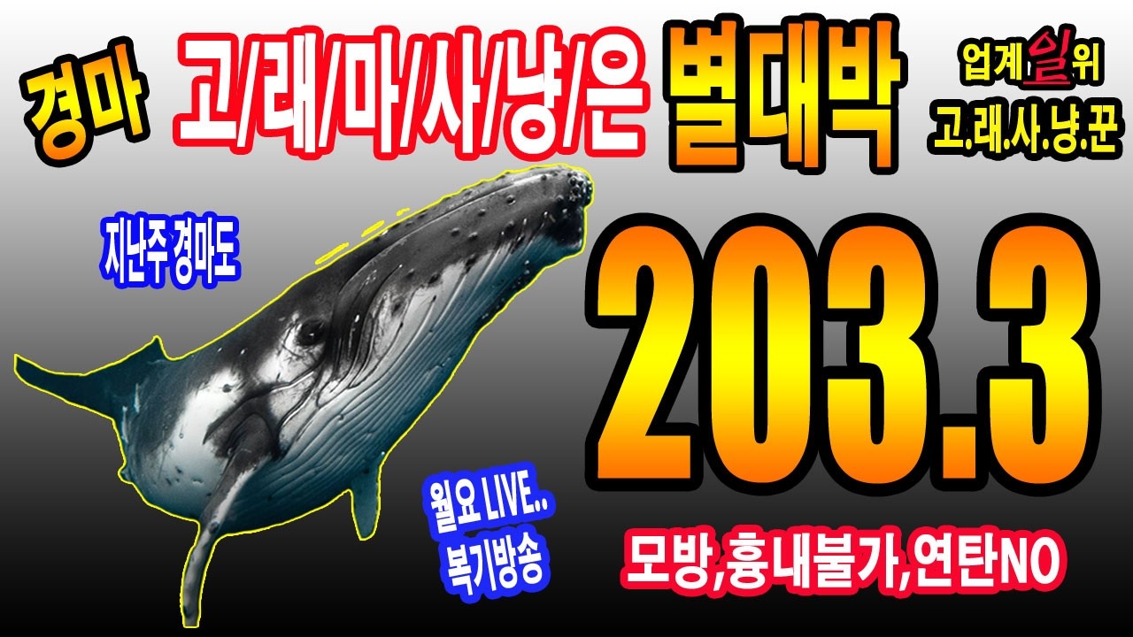 "7월/12일/일요경마/별대박/분석방송/고,래,마,사,냥,은 별대박