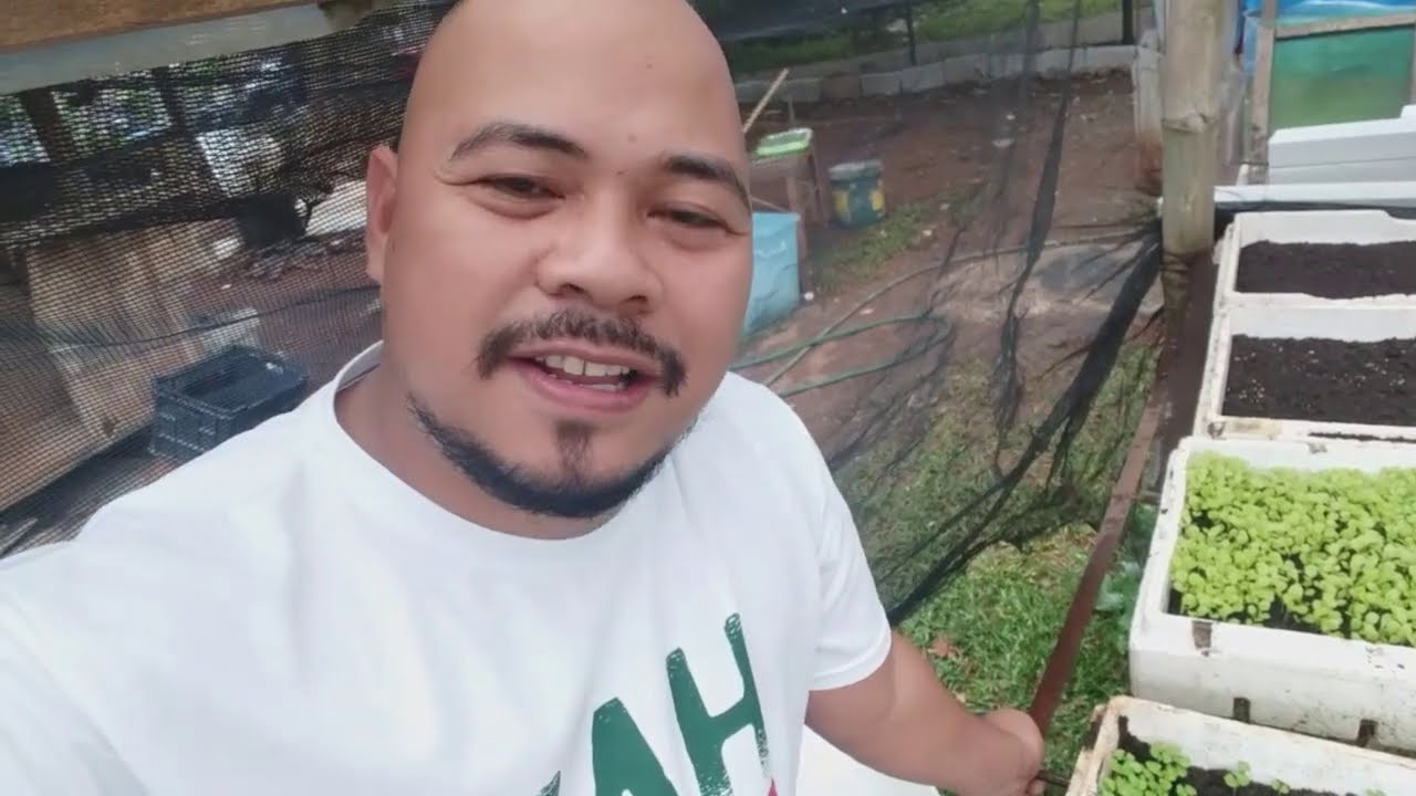 TAMANG SEEDLING MANAGEMENT | HYDROPONICS TIPS FOR NEWBIES   | Filipino language