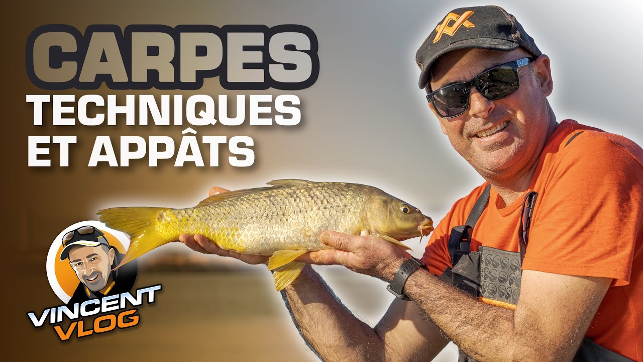 Enhanced Inline Feeder – Mangeoire En Ligne Pour Pêche à La Carpe – 20 à 100 G – Forme Aérodynamique Pour Lancer Précis, Appât Parfaitement Formé