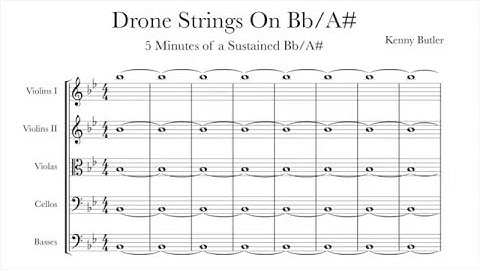 Drone Strings On Bb/A# - Intonation for Violin, Viola & Cello