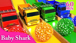 Five Little Shark & The Shark Dance🦈 | Soccer ball🌈 Music For Babiesㅣ Nursery Rhymes & Kids Songs