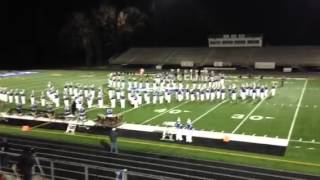 Pickerington Central marching Tigers