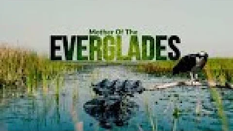 Mother Of The Everglades