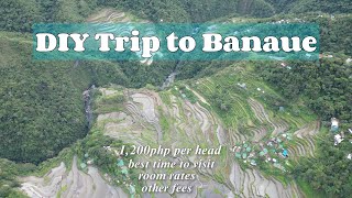 DIY Trip to Banaue- The best time to visit; What to Expect; Affordable room; Travel Budget