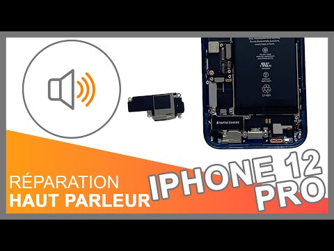 Module Haut-parleur iPhone 12 / 12 Pro