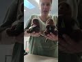 this video is for everyone except my son and nephew #beaniebaby #ty #thrifted #gifts #otters