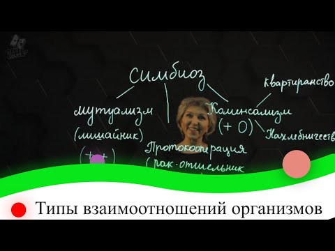 Типы взаимоотношений организмов. 8 класс.