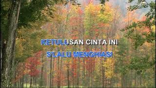 CINTA SEJATI ARI LASSO Indonesian Malay Karaoke