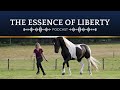 24 | Emphasizing The Silences [THE ESSENCE OF LIBERTY PODCAST]
