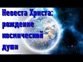 🔹Невеста Христа: рождение космической души