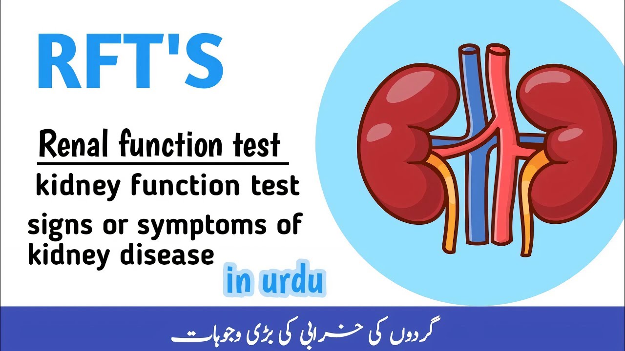What Is Rft What is RFT Test? | Renal Function Test Explained | Kidney Health Check ...