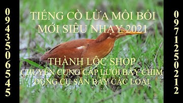 TIẾNG CÒ LỬA MỚI NHẤT 2021 CHUẨN KHÔNG TẠP ÂM