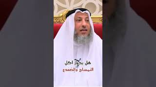 حكم اكل لحم التمساح -الشيخ عثمان خميس-