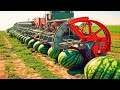 Farmers Use Farming Machines You&#39;ve Never Seen   Incredible Ingenious Agriculture Inventions Ep 72