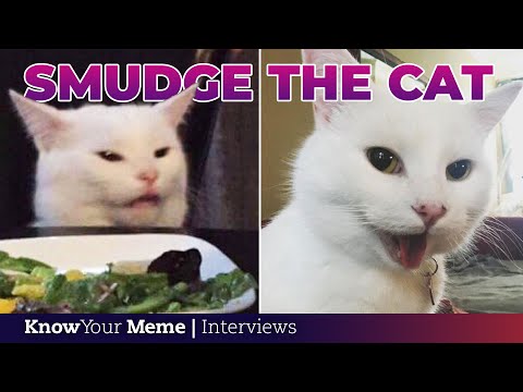 Know Your Meme (@knowyourmeme)'s videos with original sound - Know Your Meme