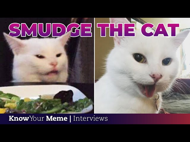 Smudge The Cat'S Owner On Viral 'Woman Yelling At A Cat' Success | Meet The  Meme - Youtube