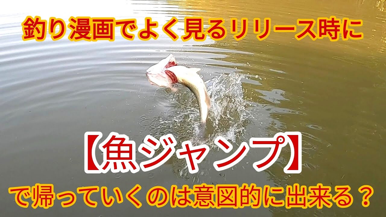 激安ラインインプレ Cn500 マルチゲーム バルカン スーパーグレード ラインアップ ダイソー Xコア等々 果たして激安ラインは本当に使えないのか をテーマにラジオ的に雑談vlog Youtube