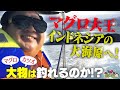 マグロ大王がインドネシアに降臨!【2/4】 マグロ&カツオを狙い大海原へ!衝撃の結末とは!?