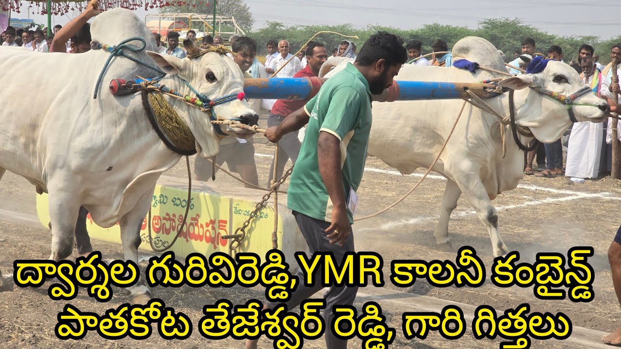 పెద్ద పసుపుల సీనియర్స్ 3వ జత.ద్వార్శల గురివిరెడ్డి,YMR కాలనీ కంబైన్డ్ పాతకోట తేజేశ్వర్ రెడ్డి,