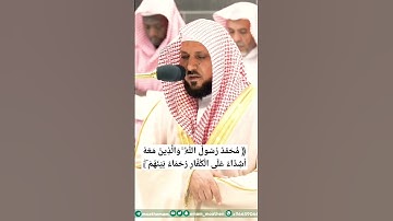* مُّحَمَّدٌ رَّسُولُ اللَّهِ ۚ وَالَّذِينَ مَعَهُ ..🌴الشيخ ماهر المعيقلي🌴 تلاوة قصيرة //