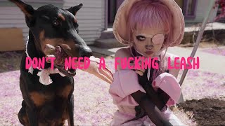 Jazmin Bean - Puppy Pound // Lyrics Resimi