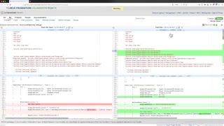 hyperledger fabric chaincode evm - rebase Change 27764 and add new fields Net Worth