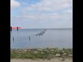 SEAGULL S Sounds 